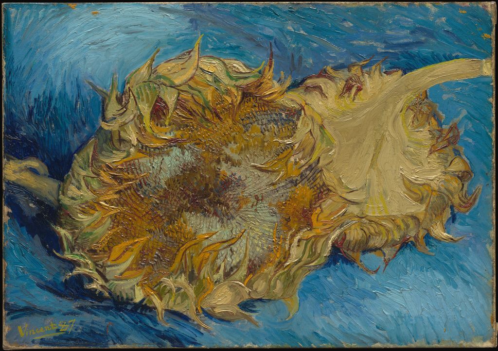 Vincent van Gogh's cut sunflowers spread yellow, orange and green forms across a blue ground
