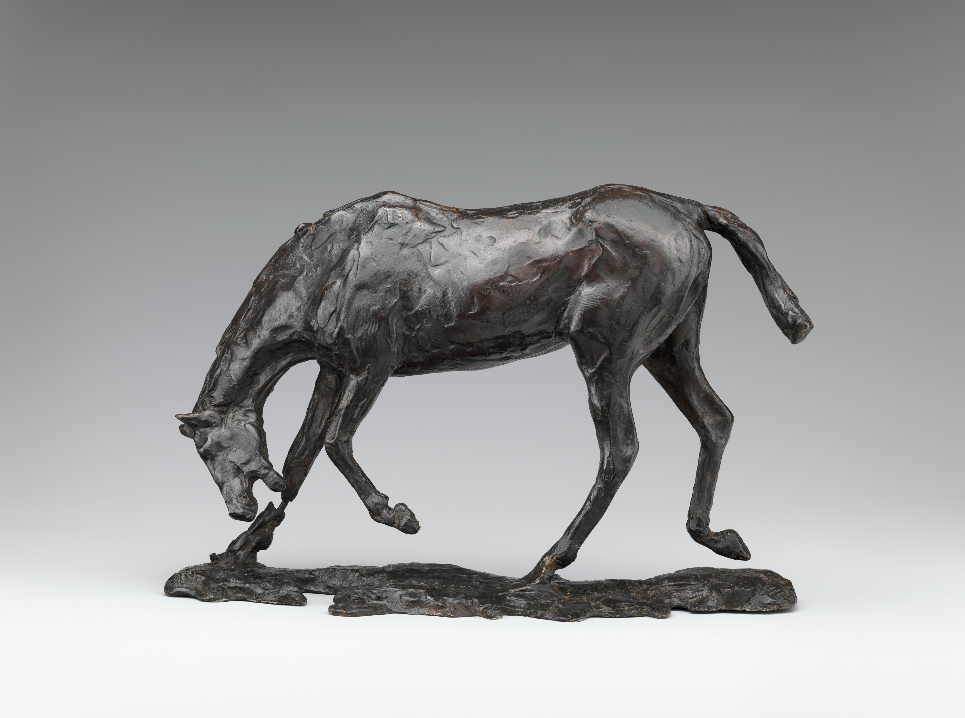 Degas bronze horse lowering its head, with a damaged foreleg preserving evidence of the original wax model's wire armature.