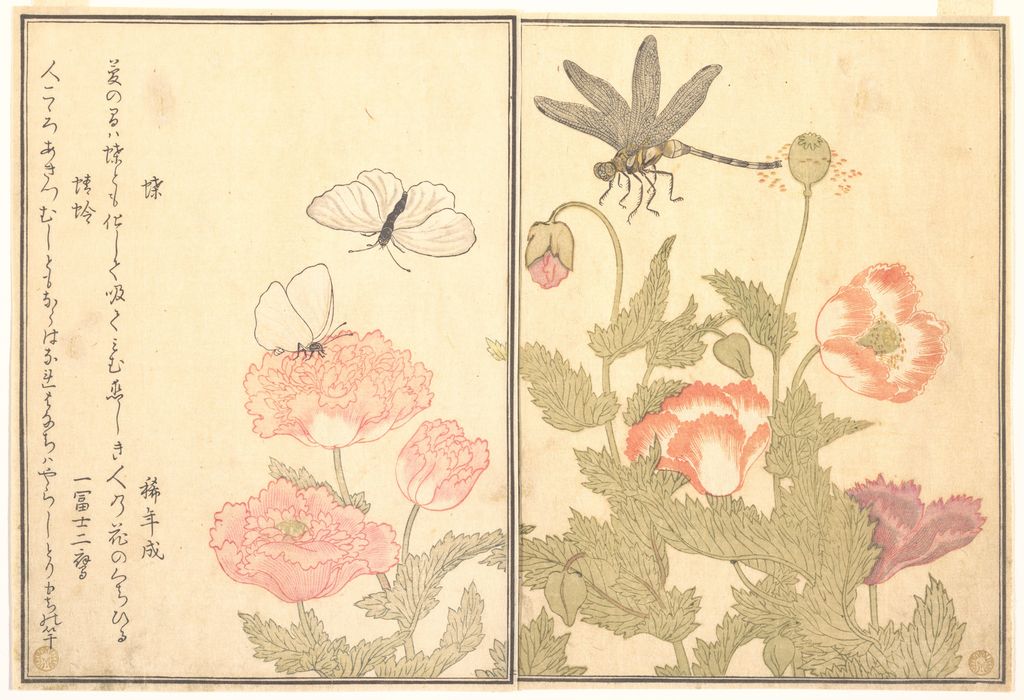 喜多川歌麿《画本虫撰》の蝶と蜻蛉